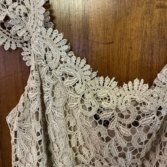 Adam Beige Lace Midi Dress - Picture 2 of 4